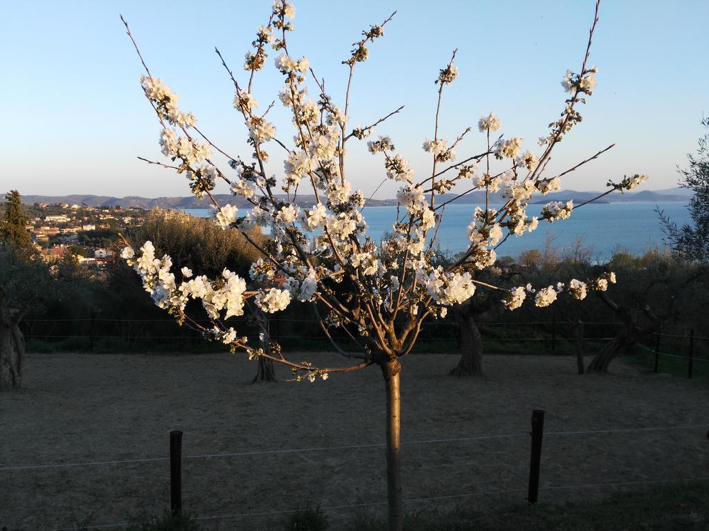 Antico Casale Tiravento Aparthotel Passignano sul Trasimeno Exterior foto